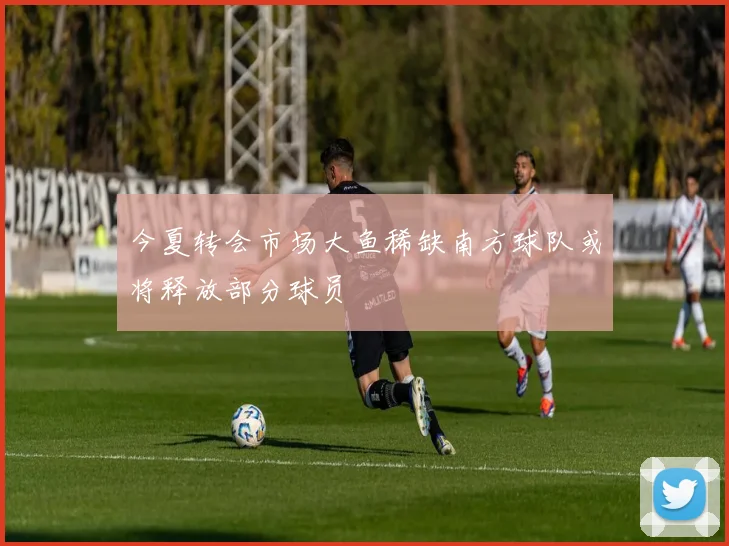 今夏转会市场大鱼稀缺南方球队或将释放部分球员